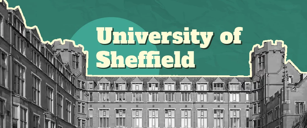 University of Sheffield Acceptance Rate