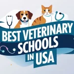 Best Veterinary Schools in USA